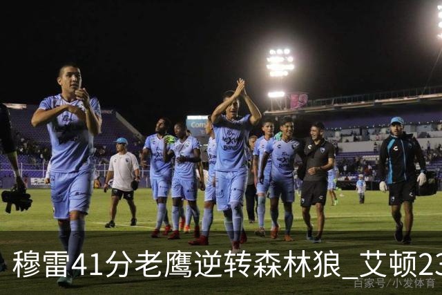 穆雷41分老鹰逆转森林狼 艾顿23板开拓者首胜